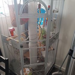 Bird Cage 
