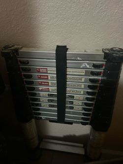 SkyReach Telescoping Ladder