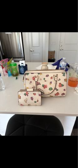 Coach purse & wallet