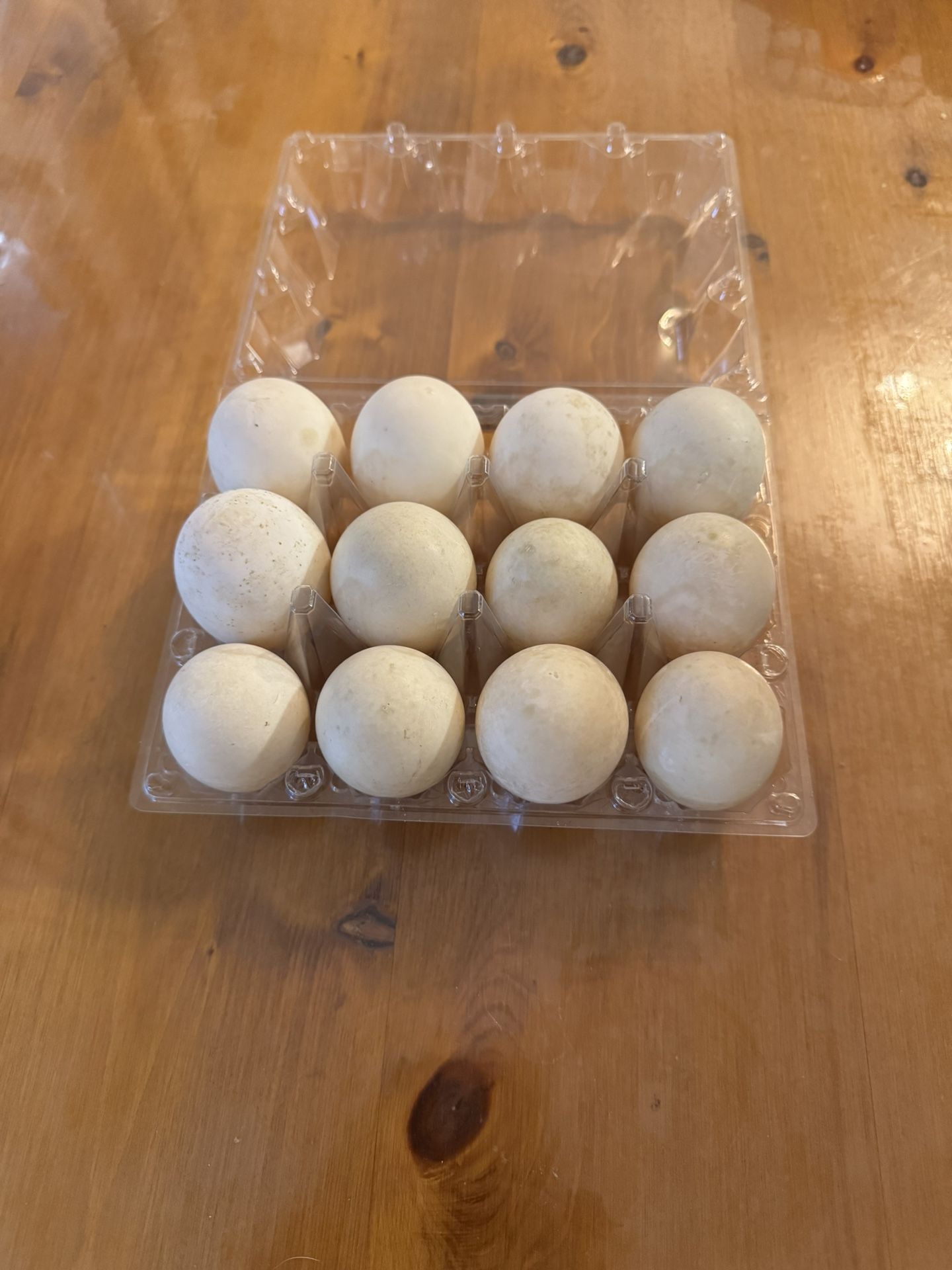 Farm Fresh Chicken Eggs $7 / Dozen