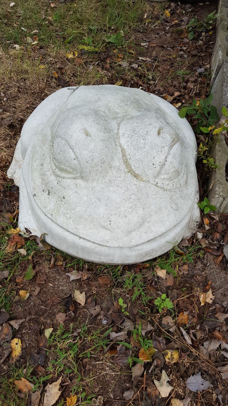 Large white frog. Hose holder, flower pot, many uses. Paint it frog colors it will be cool