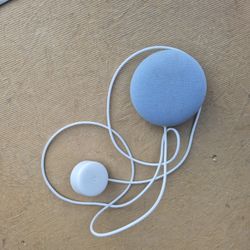 Google Nest
