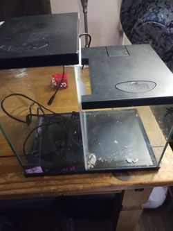 Baita fish tank