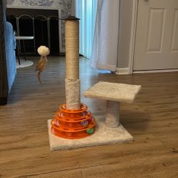 Cat Toy 