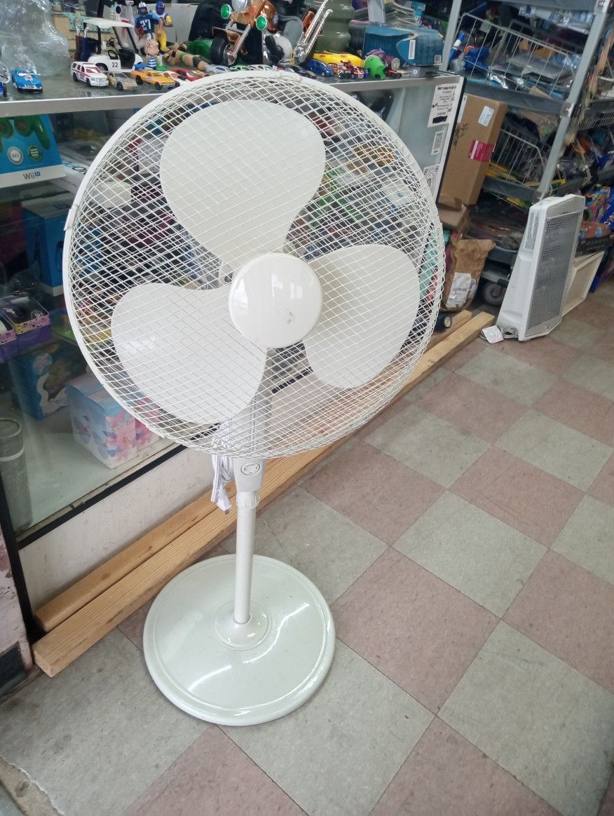 Oscillating Stand Up Fan