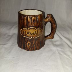 Hawaii Mug
