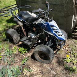 Kid Quad For Sale