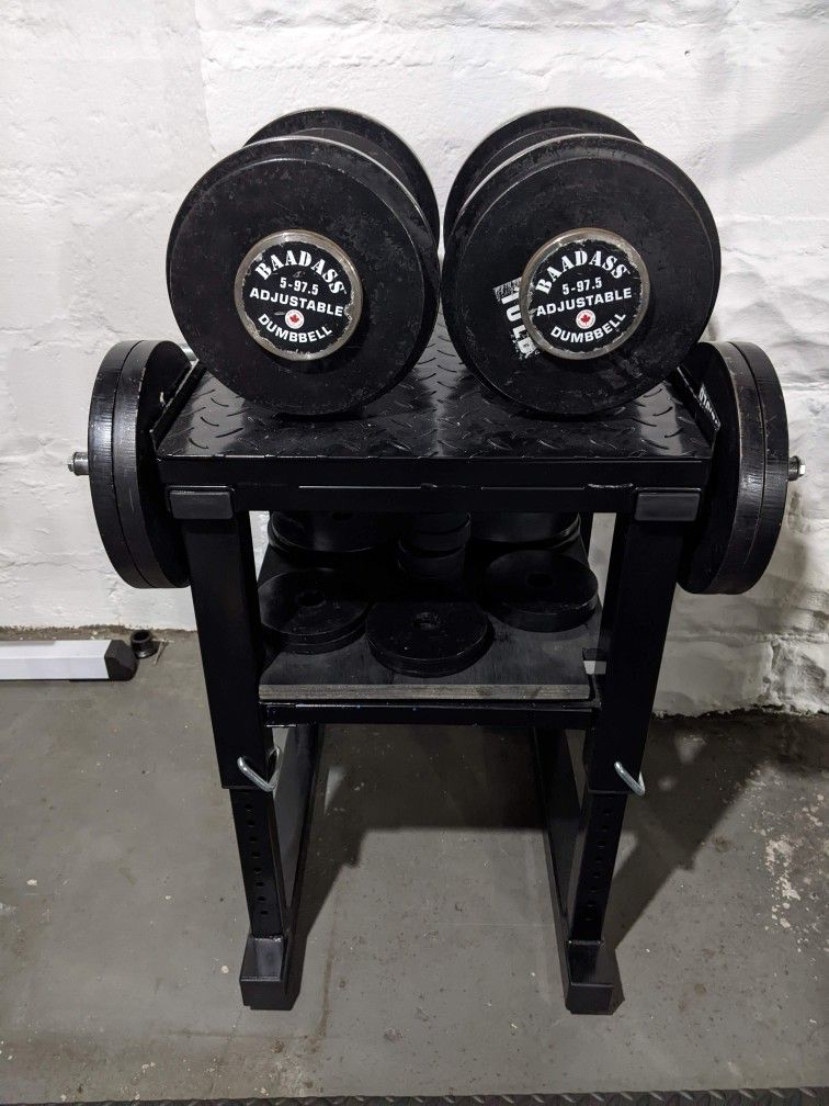 Adjustable Dumbbells (5 - 97.5 Lbs) and Stand