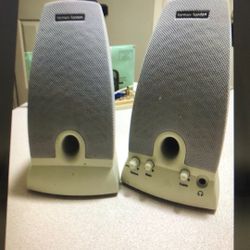 Powerful Speaker