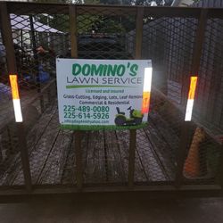 Domino's lawn service