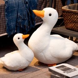 DUCKS FOR SALE