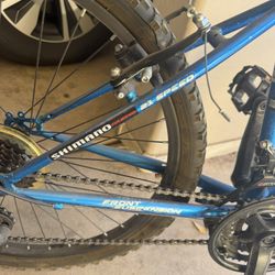 Mountain Bike 24in