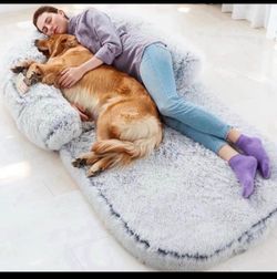 Foldable human dog bed