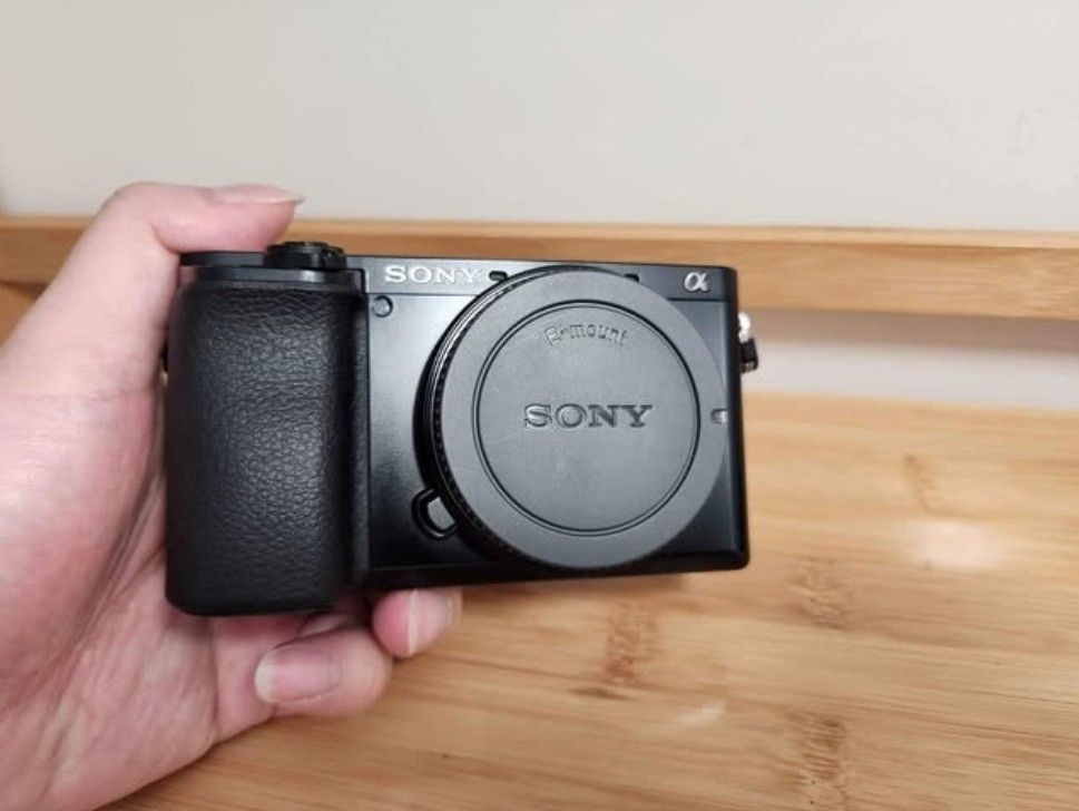 Sony A6100 Mirrorless Camera 