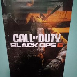 2 Black ops six posters