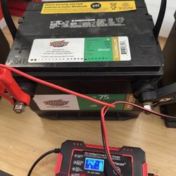 Interstate Group 75 Car Battery Excellent