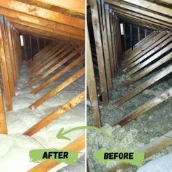 FREE Attic Inspection – Rodent Dropping Cleanup + Pest-Control Insulation