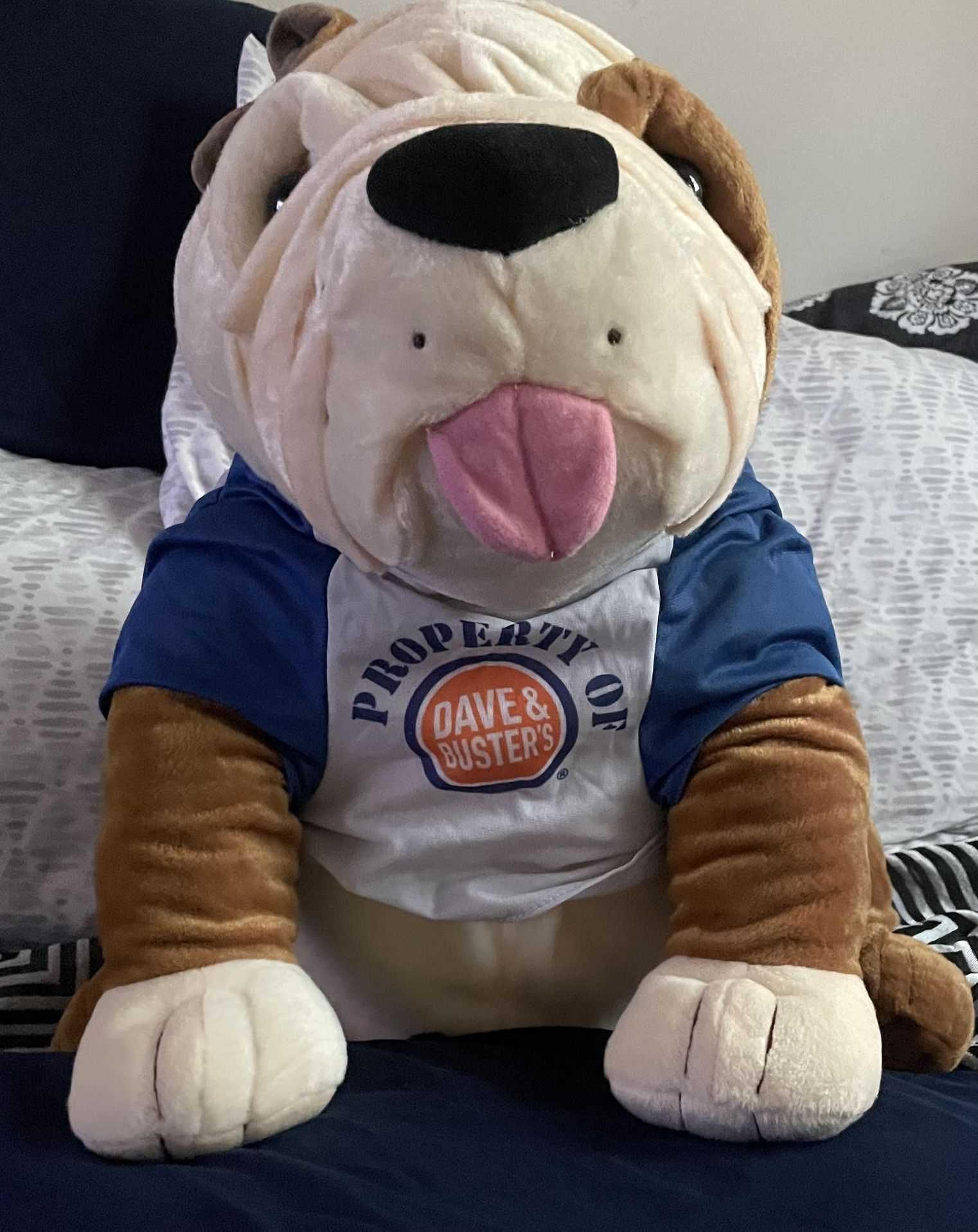 Dave & Buster Bull Dog Teddy Bear