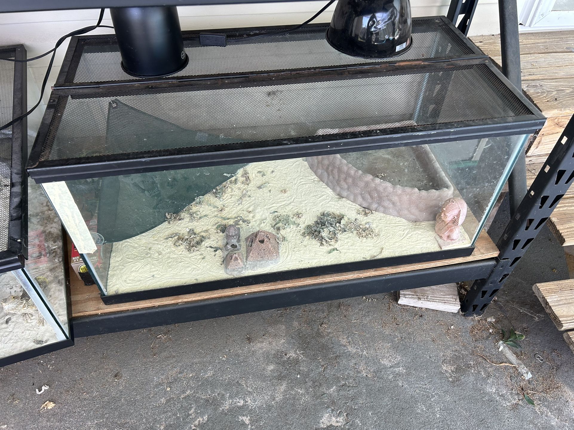 Reptile 40 Gallon Tank