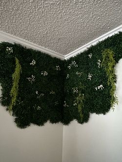 Plant wall decor