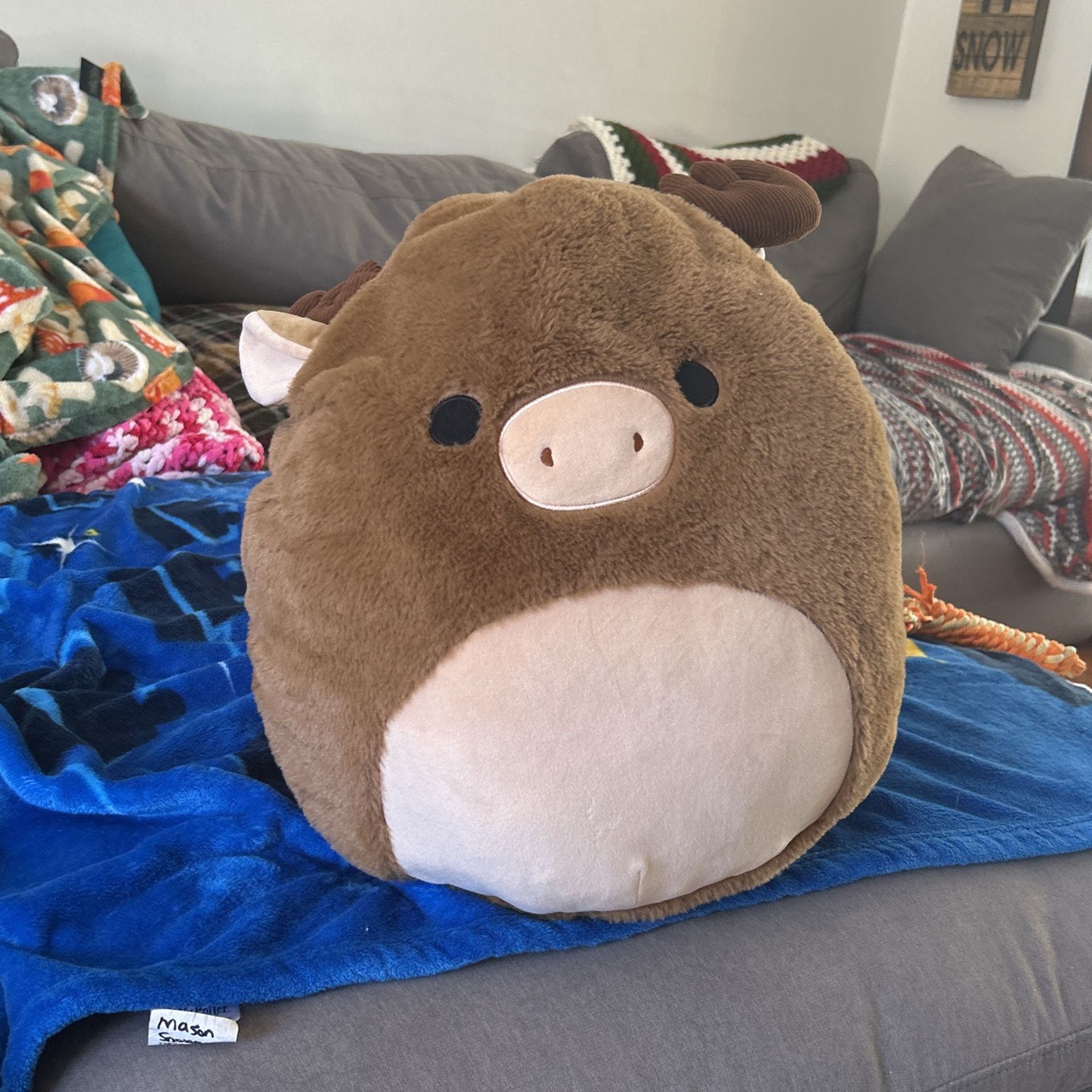 Moose Squishmellow!🫎