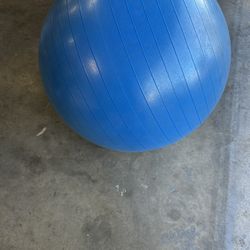 Workout Ball