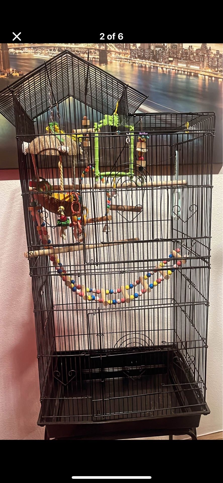 Bird House 60
