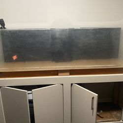 6’ Fish Tank With Base & Accessories 