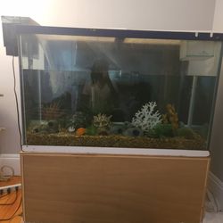 110 Gallon Fish Tank