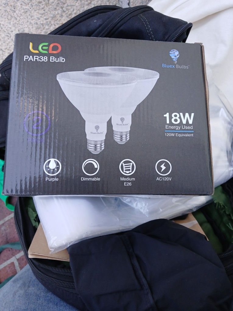 Led Light Bulb Purple