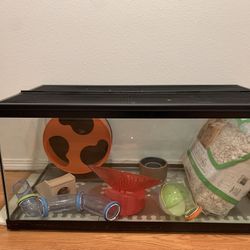 Hamster Supplies. Almost Everything You Need!