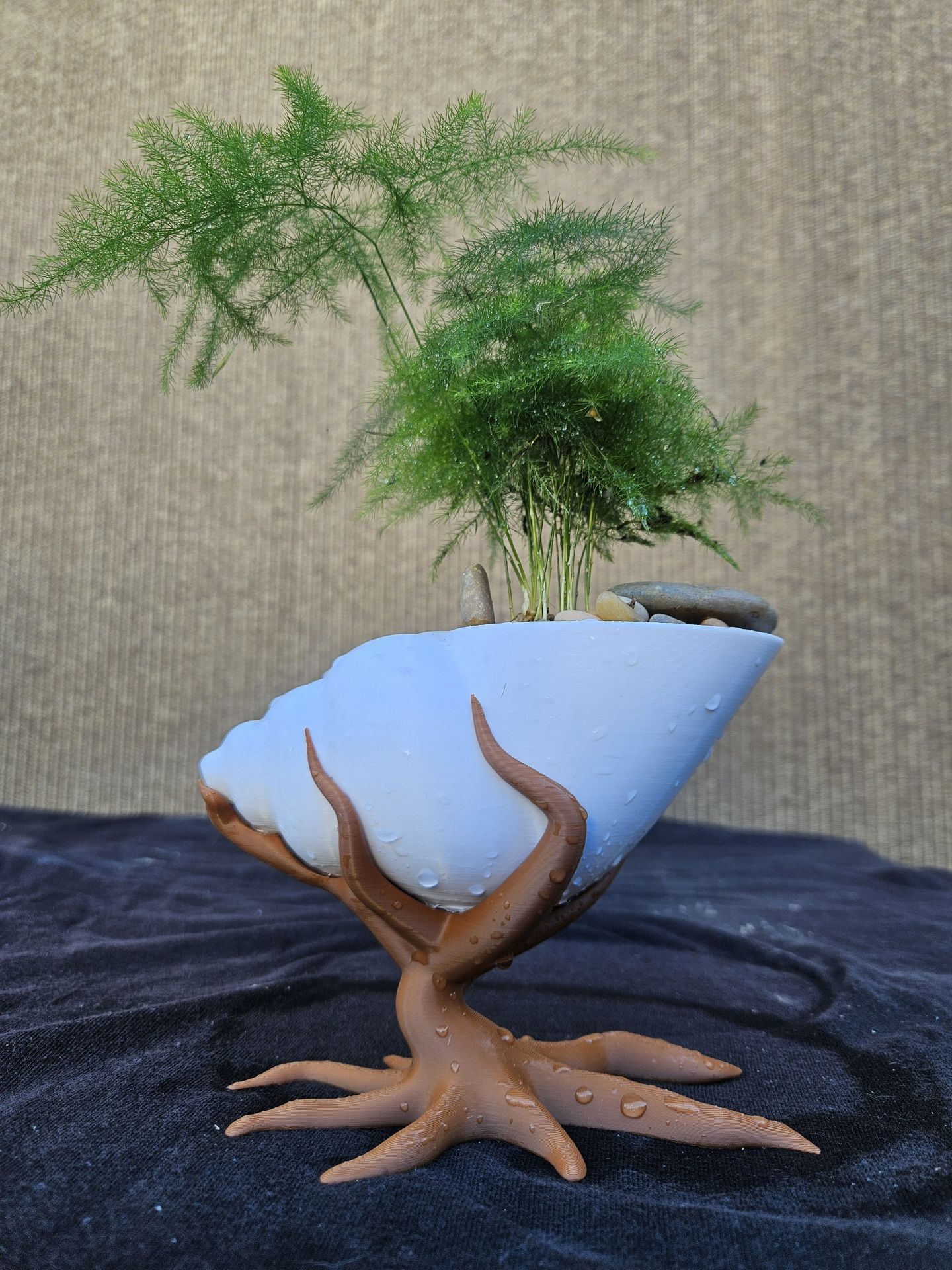 bonsai online store Bonsai Variety Grow Kit