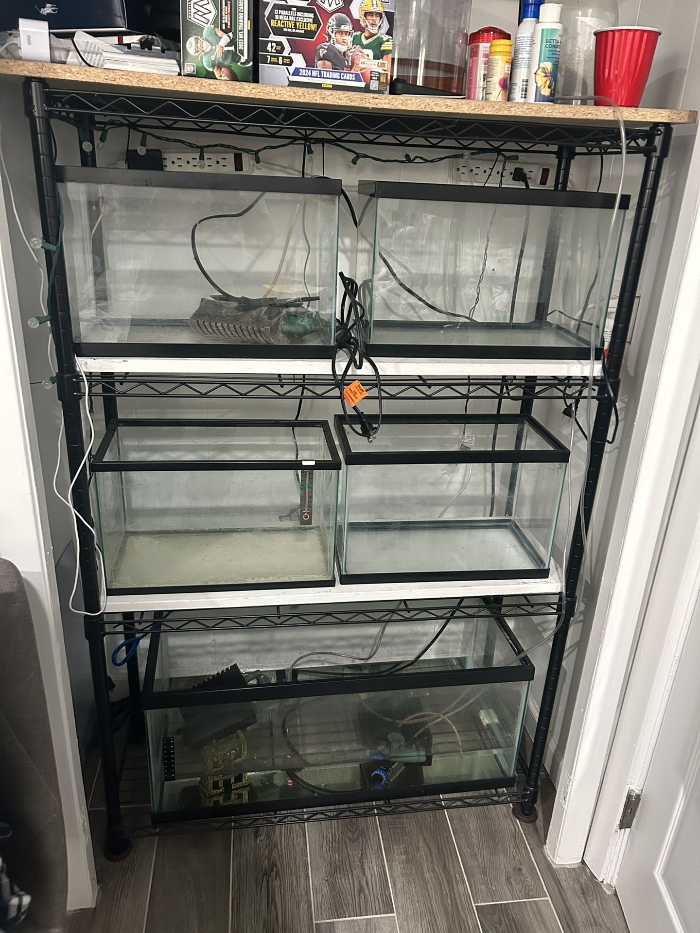 Fish Breeding Setup -5 Fish Tanks