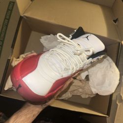 Jordan 12 Retro Cherrys