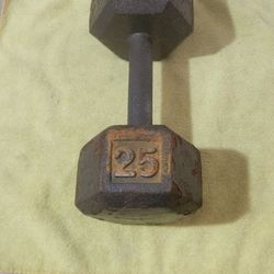 25lb Dumbbell Weight 