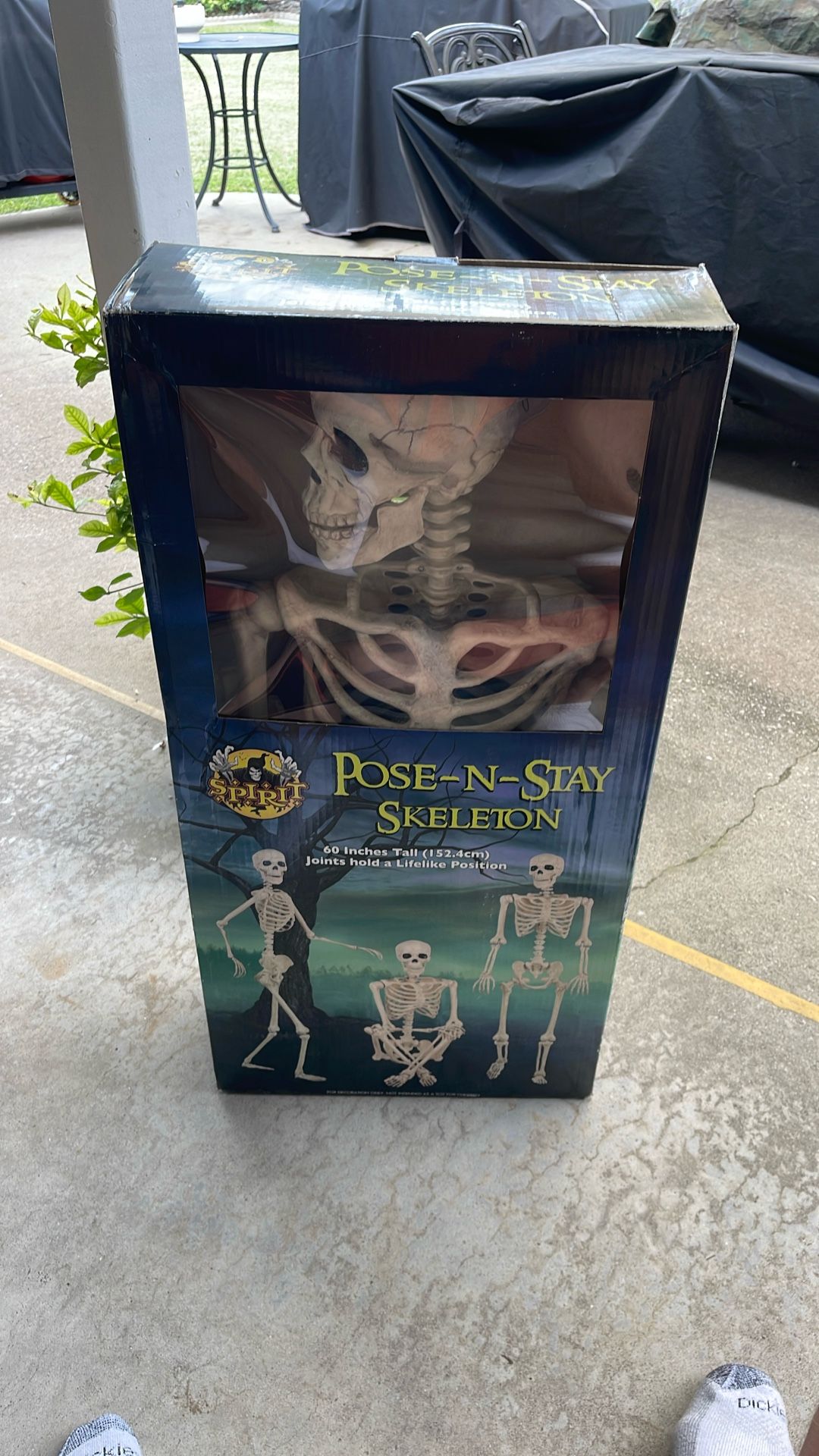 Pose N Stay Skeleton Spirit Halloween 60 Inches