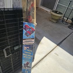 39 Inch 3D KITE - FREE 