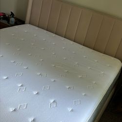 Queen Mattress Clean!