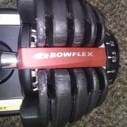 Bowflex Adjustable Dumbbells 