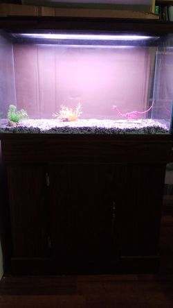 28 Gallon Fish Tank W/ Stand