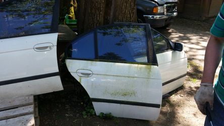 Bmw doors