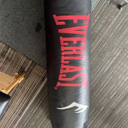100lb Punching Bag 