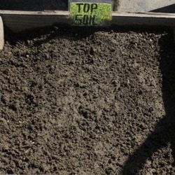 Top Soil 69a For Succulents And Plants 