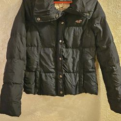 Hollister Puffer Jacket 
