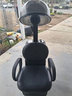 Professional Hair Dryer