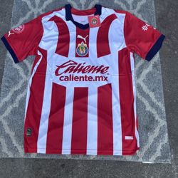 Chivas de Guadalajara Home Soccer Jersey