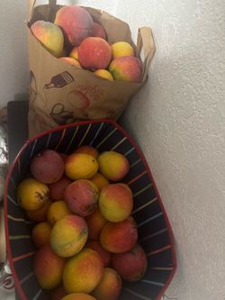 Mangos / Mangoes $2 each