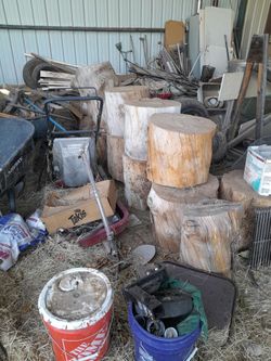 2ft Pine Tree Slabs