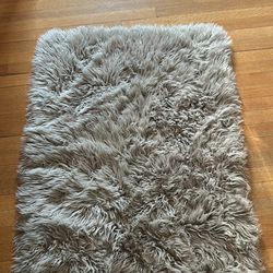 Gray Rug