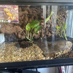 20g Tank 